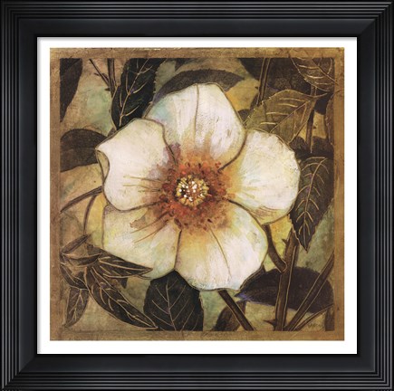 Framed White Magnolia I Print