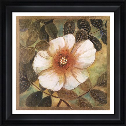 Framed White Magnolia II Print