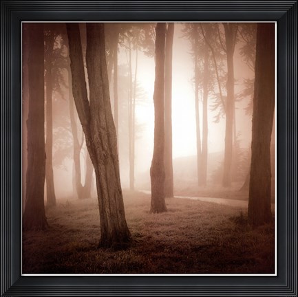 Framed Woods Study II Print