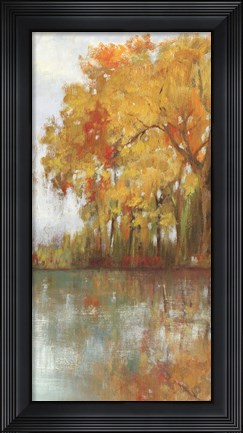 Framed Forest Reflection I Print