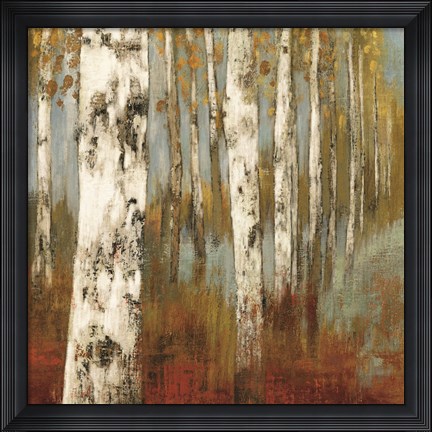 Framed Along The Path II Print