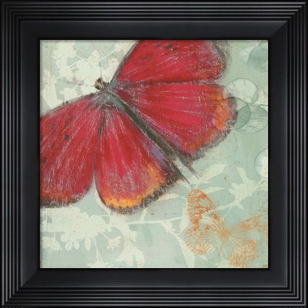 Framed In Flight II Print