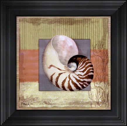 Framed Montego Nautilus Print