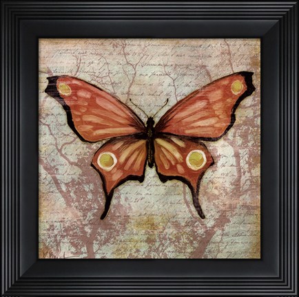 Framed Vintage Butterflies I Print