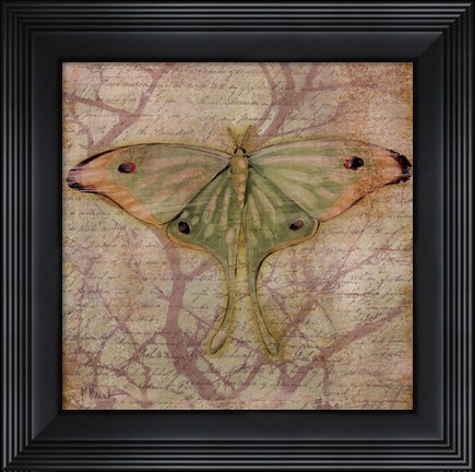 Framed Vintage Butterflies III Print