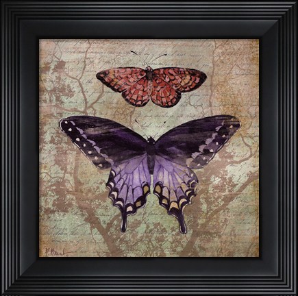 Framed Vintage Butterflies IV Print