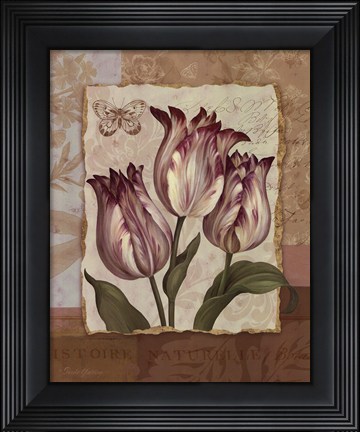 Framed Flower Trio - mini Print