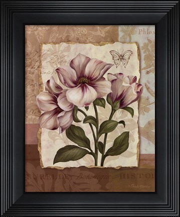 Framed Flower Trio II - mini Print