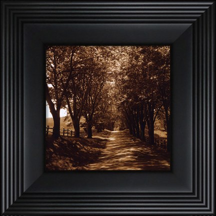 Framed Ash Lawn I - petite Print