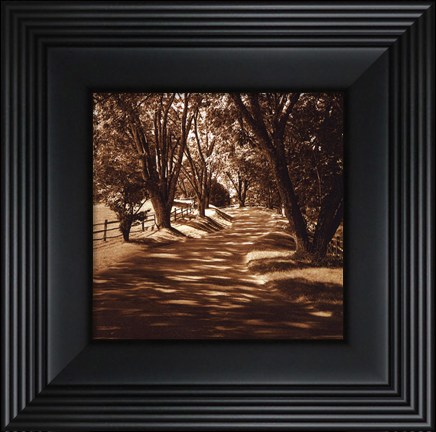 Framed Ash Lawn II - petite Print