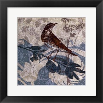 Framed Songbird I Print