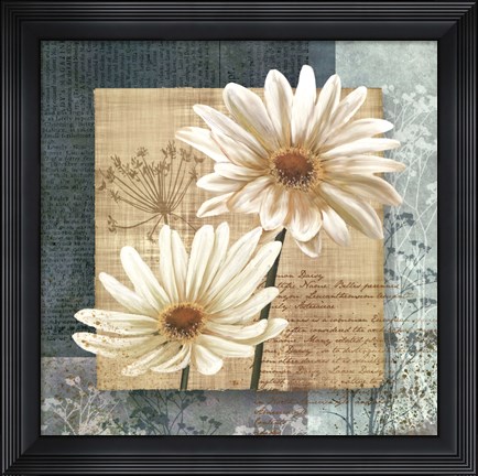 Framed Daisy Field I Print