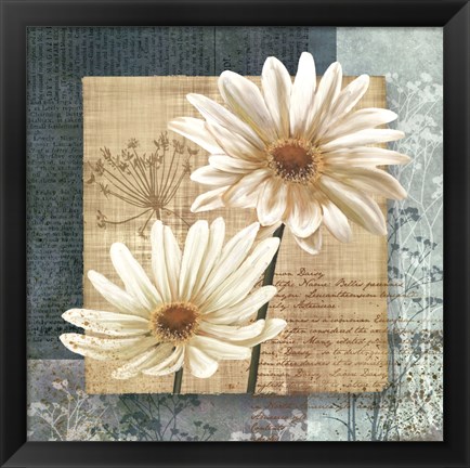 Framed Daisy Field I Print