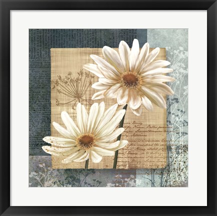 Framed Daisy Field I Print