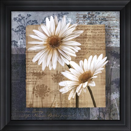Framed Daisy Field II Print