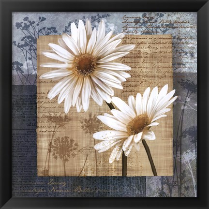 Framed Daisy Field II Print