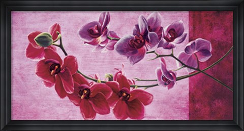 Framed Composizione di orchidee Print