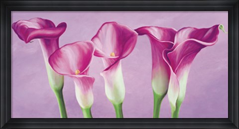 Framed Calle in fiore Print