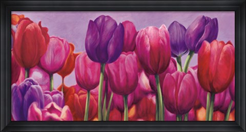 Framed Campo di tulipani Print