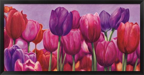Framed Campo di tulipani Print