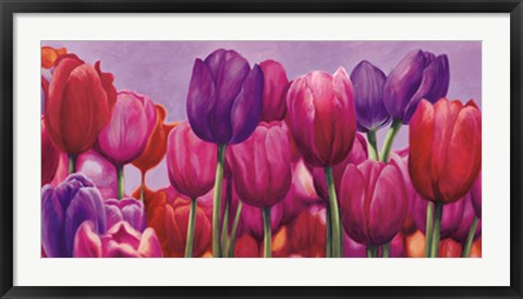 Framed Campo di tulipani Print