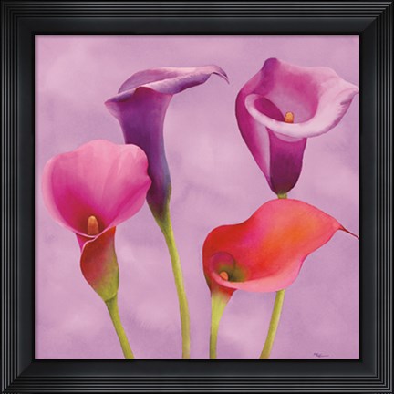 Framed Carezze Print