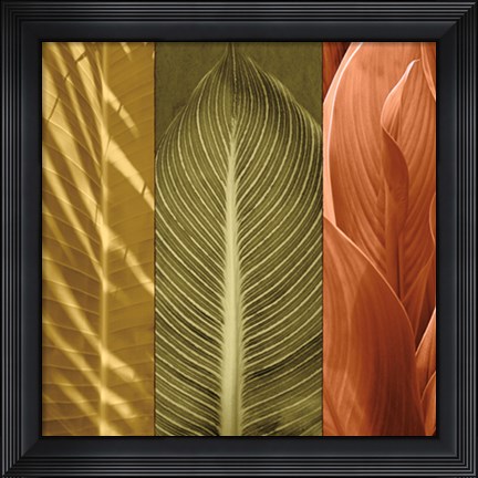 Framed Tropical Trio II Print
