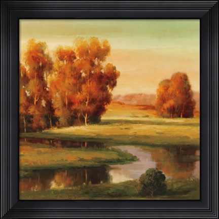 Framed Serene I Print