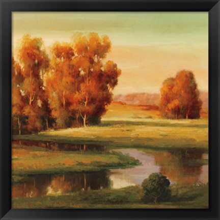 Framed Serene I Print