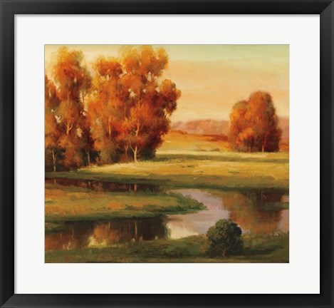 Framed Serene I Print