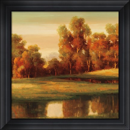 Framed Serene II Print