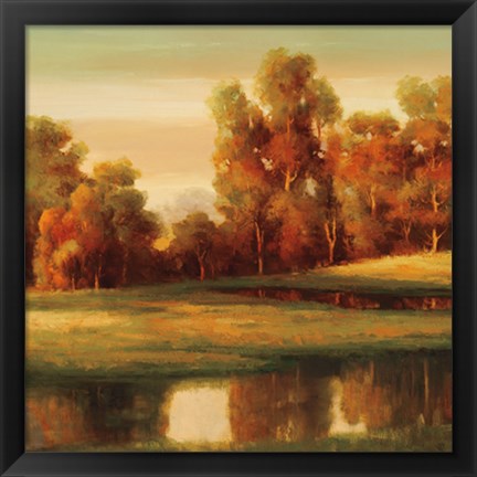 Framed Serene II Print