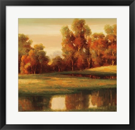 Framed Serene II Print