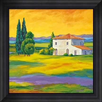 Framed Toscana II Print