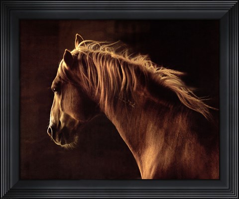 Framed Wild Heart Print