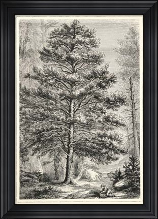 Framed Terry&#39;s Trees III Print