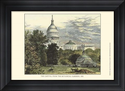 Framed Capitol From the Botanical Gardens Print