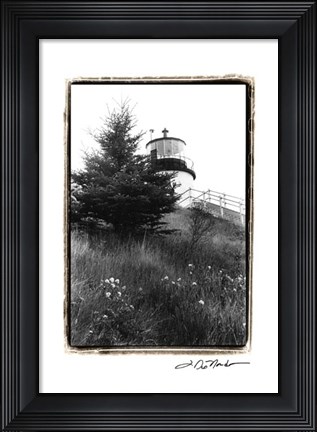 Framed Owl&#39;s Head with Tree Print