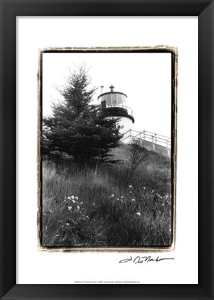 Framed Owl&#39;s Head with Tree Print