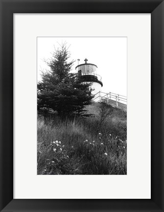 Framed Owl&#39;s Head with Tree Print