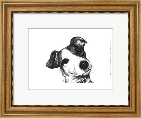 Framed Robbie the Jack Russell Print