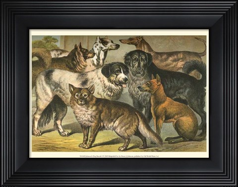 Framed Johnson&#39;s Dog Breeds I Print