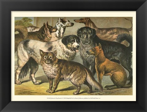Framed Johnson&#39;s Dog Breeds I Print