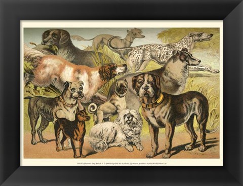 Framed Johnson&#39;s Dog Breeds II Print