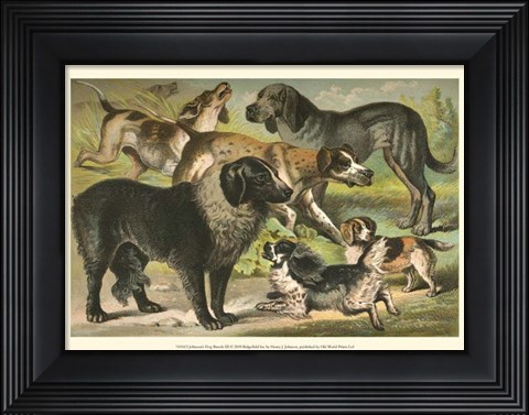 Framed Johnson&#39;s Dog Breeds III Print