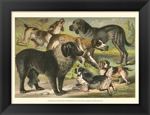 Framed Johnson&#39;s Dog Breeds III Print