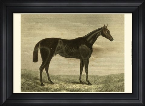 Framed Pretender Print