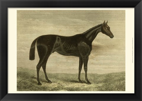 Framed Pretender Print