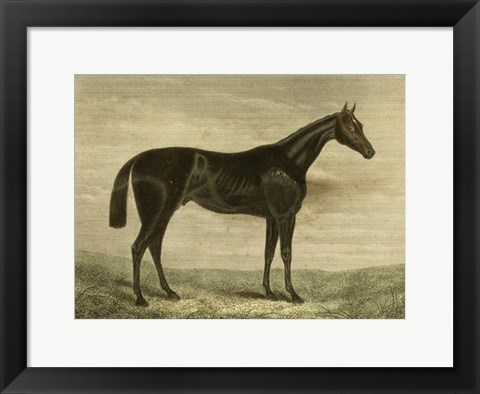 Framed Pretender Print