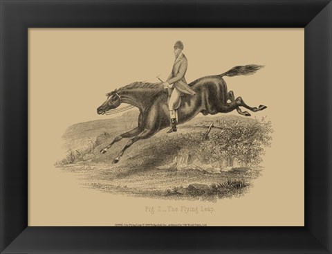 Framed Flying Leap Print